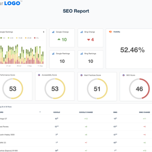 SEO Audit & Performance Report